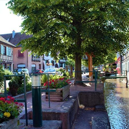 Scherwiller La Halte Des Vignes - Route Des Vins D'Alsace 아파트 외부 사진