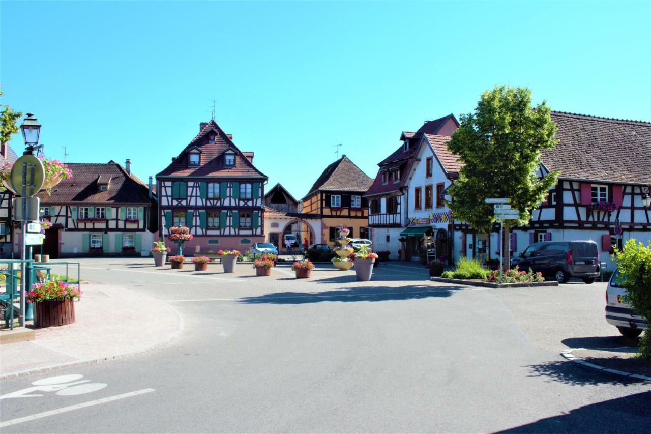 Scherwiller La Halte Des Vignes - Route Des Vins D'Alsace 아파트 외부 사진