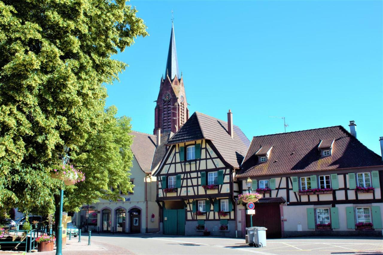 Scherwiller La Halte Des Vignes - Route Des Vins D'Alsace 아파트 외부 사진